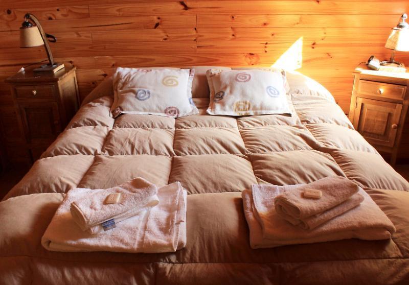 Rotui Apart Hotel Сан-Мартин-де-лос-Андес Экстерьер фото